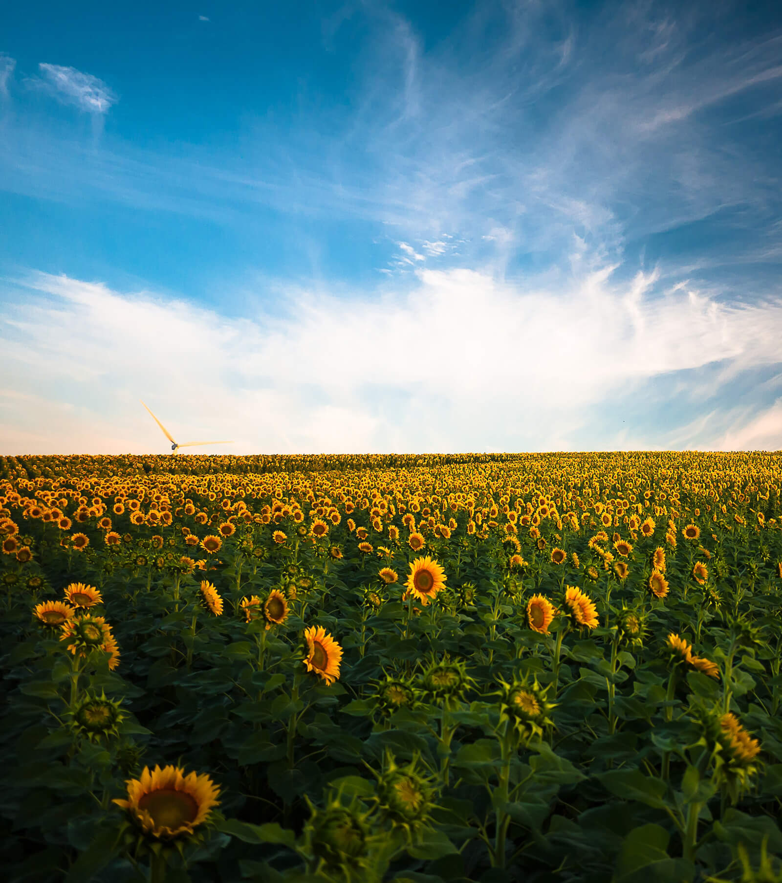 Why Brokers Work with Magnolia Grove?